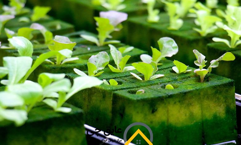 بهترین عایق گلخانه ای 
