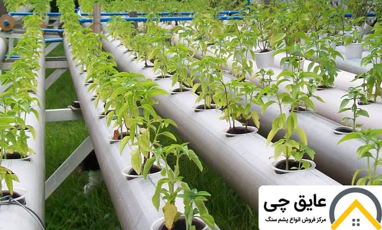 انواع مختلف کشت هیدروپونیک